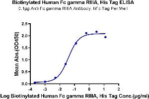 ELISA image for Fc Fragment of IgG, Low Affinity IIIa, Receptor (CD16a) (FCGR3A) (AA 17-208) protein (His-Avi Tag,Biotin) (ABIN7274282)