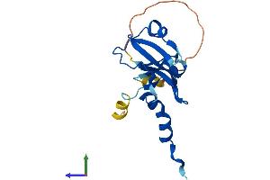 Protein Structure (PS) image for Ribonuclease H2, Subunit C (RNASEH2C) (AA 1-166) protein (His tag) (ABIN7560499)