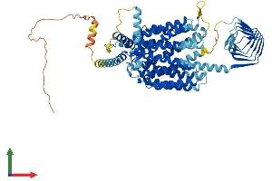 Protein Structure (PS) image for Synaptic Vesicle Glycoprotein 2B (SV2B) (AA 1-683) protein (His tag) (ABIN7544053)
