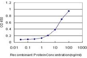 Detection limit for recombinant GST tagged NHLH2 is approximately 0. (NHLH2 抗体  (AA 36-135))