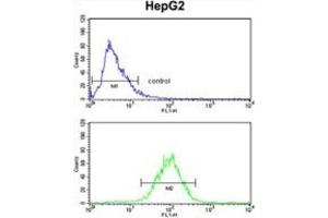 Flow Cytometry (FACS) image for anti-Signal Peptidase Complex Subunit 3 Homolog (SPCS3) antibody (ABIN3002742) (SPCS3 抗体)