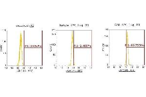 Flow Cytometry (FACS) image for anti-Carbonic Anhydrase VIII (CA8) (AA 1-290) antibody (APC) (ABIN5568536) (CA8 抗体  (AA 1-290) (APC))