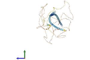 AlphaFold protein structure predicition of Mouse Recombinant Map7d2 Protein, UniprotID A2AG50