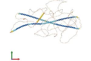 Protein Structure (PS) image for Neurofilament, Heavy Polypeptide (NEFH) (AA 1-1026) protein (His tag) (ABIN7554714)