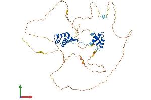 Protein Structure (PS) image for Paired Box 8 (PAX8) (AA 1-457) protein (His tag) (ABIN7556849)