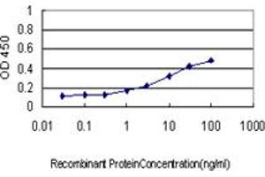 Detection limit for recombinant GST tagged SYP is approximately 1ng/ml as a capture antibody. (Synaptophysin 抗体  (AA 1-313))