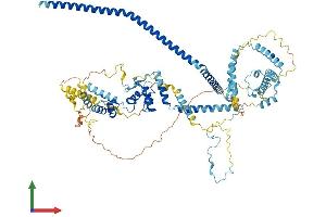 Protein Structure (PS) image for CDC5 Cell Division Cycle 5-Like (S. Pombe) (CDC5L) (AA 1-802) protein (His tag) (ABIN7553334)