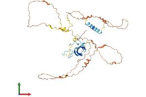 Protein Structure (PS) image for Zygote Arrest 1 (ZAR1) (AA 1-424) protein (His tag) (ABIN7545280)