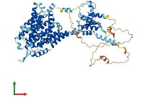 Protein Structure (PS) image for Solute Carrier Family 26, Member 9 (Slc26a9) (AA 1-791) protein (His tag) (ABIN7555328)