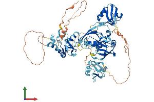 Protein Structure (PS) image for Ligand of Numb-Protein X 1 (LNX1) (AA 1-728) protein (His tag) (ABIN7562524)