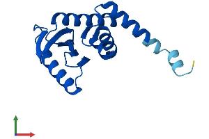 Protein Structure (PS) image for Adaptor Related Protein Complex 1 sigma 1 (AP1S1) (AA 1-158) protein (His tag) (ABIN7556591)