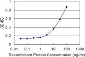 Detection limit for recombinant GST tagged ALLC is 1 ng/ml as a capture antibody. (Allantoicase 抗体  (AA 235-344))
