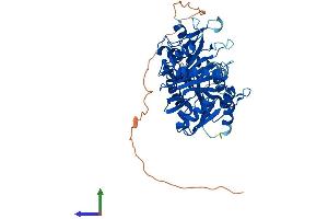 Protein Structure (PS) image for tRNA Methyltransferase 2 Homolog B (TRMT2B) (AA 1-493) protein (His tag) (ABIN7558815)