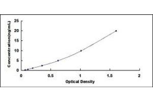 Typical standard curve (MCT3 ELISA 试剂盒)