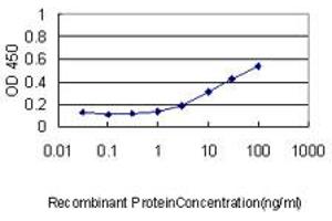 Detection limit for recombinant GST tagged CASQ2 is approximately 0. (CASQ2 抗体  (AA 20-399))