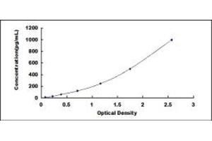 Typical standard curve (FGF10 ELISA 试剂盒)