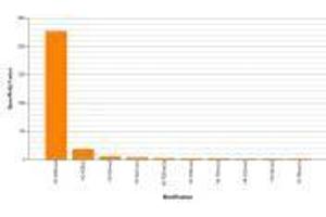 Histone H3K36me3 antibody (rAb) specificity tested by peptide array analysis.