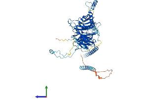 Protein Structure (PS) image for Dynein, Axonemal, Intermediate Chain 2 (DNAI2) (AA 1-605) protein (His tag) (ABIN7547079)
