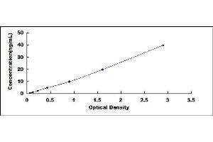 Typical standard curve (CDKN1B ELISA 试剂盒)
