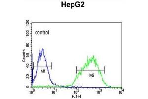Flow Cytometry (FACS) image for anti-Histone Cluster 1, H2al (HIST1H2AL) antibody (ABIN3002161) (HIST1H2AL 抗体)