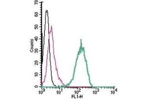 Flow Cytometry (FACS) image for anti-ATPase, H+ Transporting, Lysosomal Accessory Protein 2 (ATP6AP2) (AA 200-214), (Extracellular) antibody (ABIN7042960)