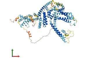 Protein Structure (PS) image for Transient Receptor Potential Cation Channel, Subfamily C, Member 1 (TRPC1) (AA 1-793) protein (His tag) (ABIN7563897)