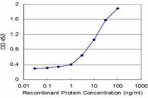 Detection limit for recombinant GST tagged HAX1 is approximately 0. (HAX1 抗体  (AA 76-174))