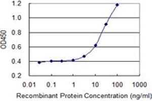 Detection limit for recombinant GST tagged PRKDC is 1 ng/ml as a capture antibody. (PRKDC 抗体  (AA 4019-4128))