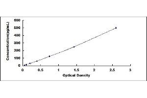 Typical standard curve (IL23A ELISA 试剂盒)