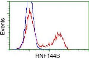 HEK293T cells transfected with either pCMV6-ENTRY RNF144B (RC209302) (Red) or empty vector control plasmid (Blue) were immunostained with anti-RNF144B mouse monoclonal (ABIN2453612), and then analyzed by flow cytometry. (RNF144B 抗体  (AA 1-256))