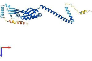 Stomatin Protein (STOM) (AA 1-284) (His tag)