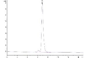 The purity of Mouse Fc is greater than 95 % as determined by SEC-HPLC. (IgG1 Fc 蛋白)