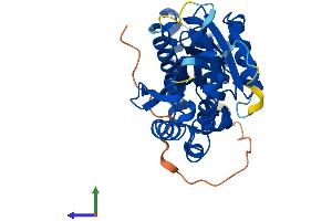 Protein Structure (PS) image for HemK Methyltransferase Family Member 1 (HEMK1) (AA 1-338) protein (His tag) (ABIN7548251)
