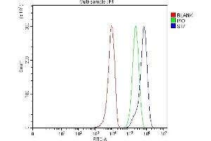 Flow Cytometry analysis of 293T cells using anti-ST7 antibody (ABIN4886732). (ST7 抗体  (Middle Region))