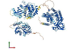 Protein Structure (PS) image for Acyl-CoA Dehydrogenase Family, Member 10 (ACAD10) (AA 1-1069) protein (His tag) (ABIN7564646)