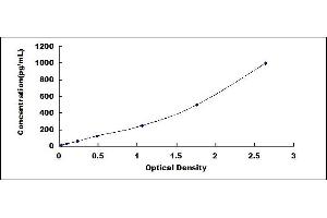 Typical standard curve (alpha Taxilin ELISA 试剂盒)