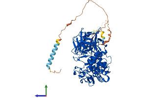 Protein Structure (PS) image for Glucuronic Acid Epimerase (GLCE) (AA 1-617) protein (His tag) (ABIN7554007)