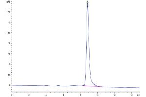 Size-exclusion chromatography-High Pressure Liquid Chromatography (SEC-HPLC) image for CD276 (CD276) (AA 29-248) protein (His tag) (ABIN7273972)