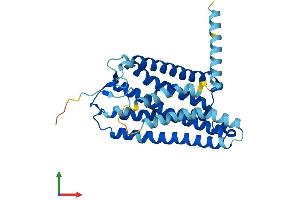 AlphaFold protein structure predicition of Mouse Recombinant Olfr180 Protein, UniprotID Q7TS48 (Olfr180 Protein (AA 1-317) (His tag))