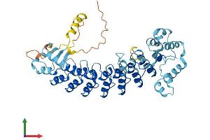 Protein Structure (PS) image for Ankyrin Repeat and SOCS Box-Containing 10 (ASB10) (AA 1-467) protein (His tag) (ABIN7560156)