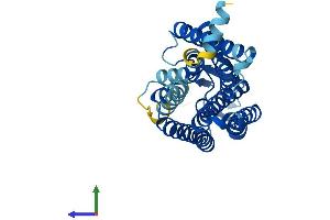 Protein Structure (PS) image for Olfactory Receptor, Family 52, Subfamily A, Member 1 (OR52A1) (AA 1-312) protein (His tag) (ABIN7550055)