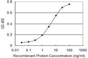 Detection limit for recombinant GST tagged SORT1 is 0. (Sortilin 1 抗体  (AA 203-299))