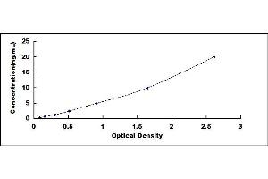 Typical standard curve (MMP12 ELISA 试剂盒)