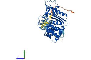 Protein Structure (PS) image for Family with Sequence Similarity 46, Member C (FAM46C) (AA 1-391) protein (His tag) (ABIN7547553)