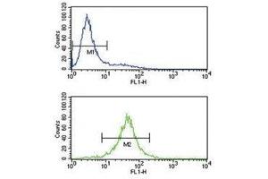 IL-10 antibody flow cytometry analysis of Jurkat cells (bottom histogram) compared to a negative control (top histogram). (IL-10 抗体  (AA 27-53))