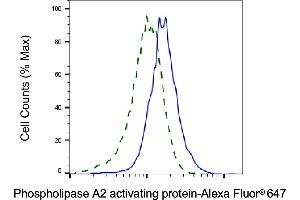 Validation of Phospholipase A2 activating protein knockdown using flow cytometry. (Recombinant PLAA 抗体)