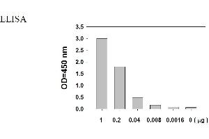 Image no. 6 for Epidermal Growth Factor Receptor (EGFR) ELISA Kit (ABIN1981739) (EGFR ELISA 试剂盒)