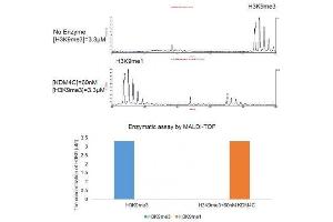 JMJD2C / KDM4C activity assay.