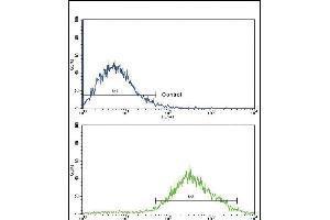 Flow cytometric analysis of jurkat cells using TYRO10 Antibody (bottom histogram) compared to a negative control (top histogram).
