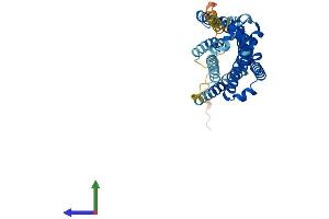 Protein Structure (PS) image for Growth Hormone Secretagogue Receptor (GHSR) (AA 1-366) protein (His tag) (ABIN7547989)